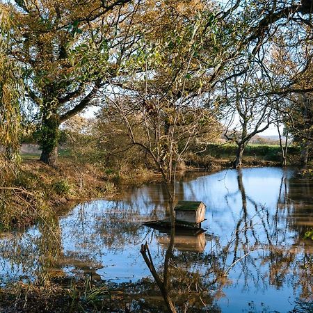 Charming Picturesque Cottage - Nr Tenterden & Rye, Pets Welcomed Rolvenden Екстер'єр фото