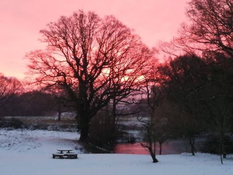 Charming Picturesque Cottage - Nr Tenterden & Rye, Pets Welcomed Rolvenden Екстер'єр фото